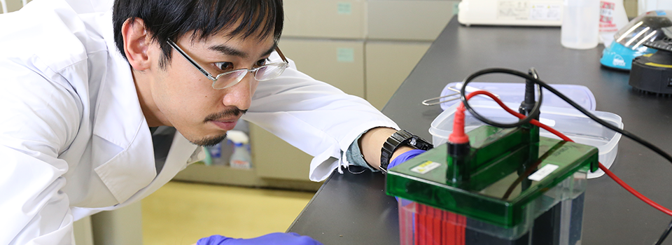 キャリア5年大学の研究テーマ